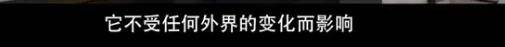 他们那么幸福恩爱，怎么突然离婚了……