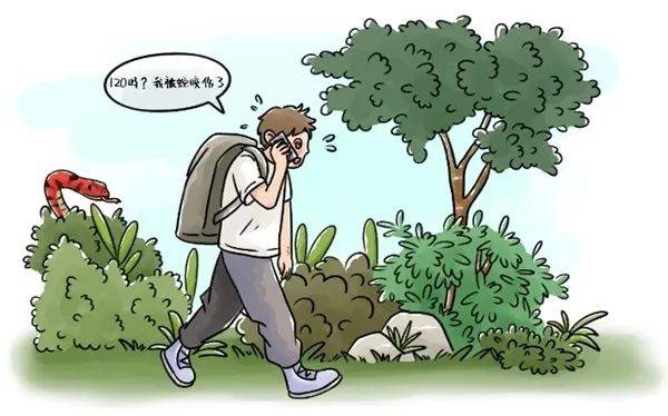 惊恐！毒蛇缠在自行车上，深圳13岁男孩伸手被咬！近期超80人中招