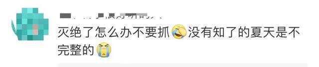 又到“知了猴”大量出现的季节，警惕：不是人人都适合吃
