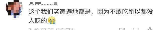 又到“知了猴”大量出现的季节，警惕：不是人人都适合吃