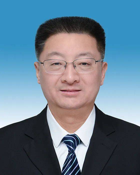 湖南省人民检察院依法对陈大雄决定逮捕