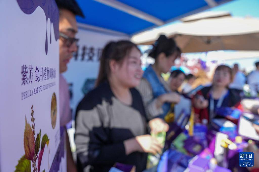欢庆中国农民丰收节