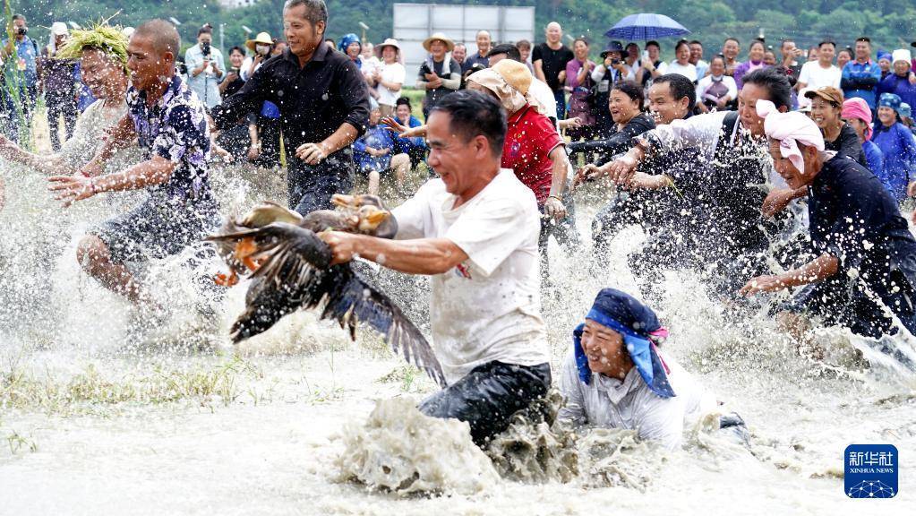 欢庆中国农民丰收节