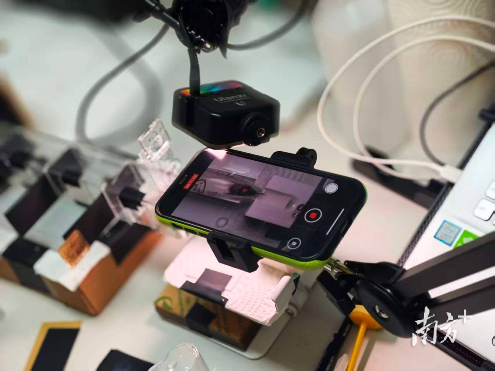 人类如何“读懂”大黄蜂的“感同身受”?