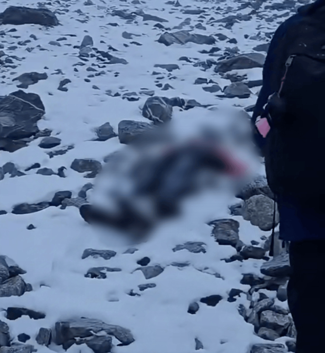 “奇迹没有发生”!确认遇难,才25岁!