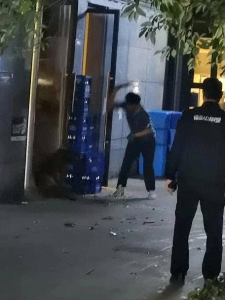 柯基犬主人持酒瓶暴打马犬事件进展：当事人被拘，马犬已脱离危险期