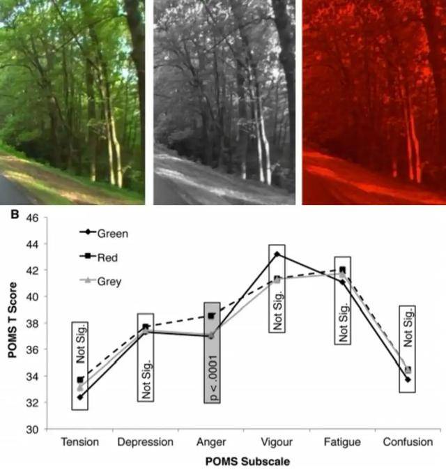年代剧的墙,为什么都是上白下绿?