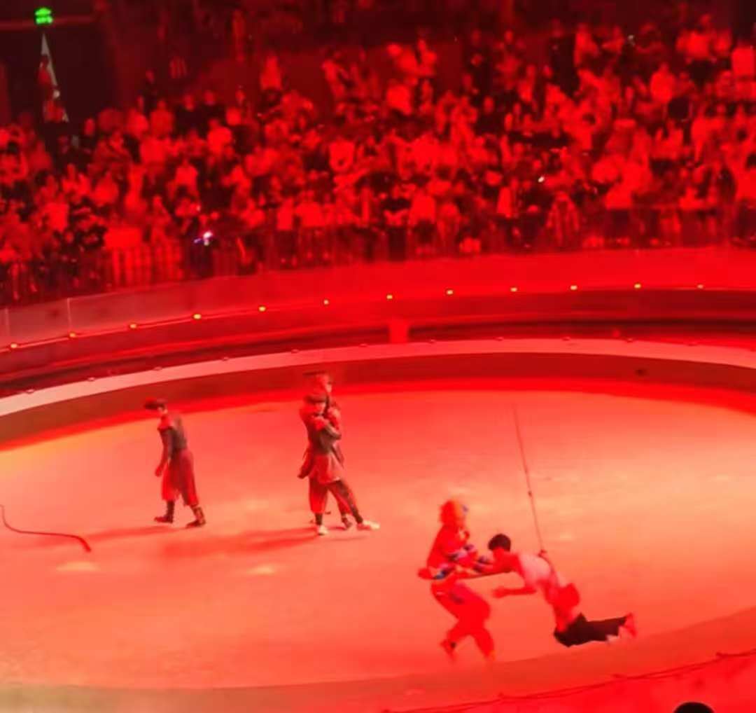 江苏一动物园观众骑马裤子掉落?网友称系演员表演逗乐,网友:这样也很开心,付出很多