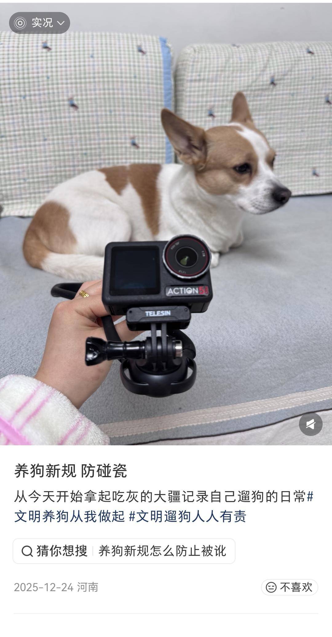 “史上最严”养犬新规今起施行 养犬人自研遛狗神器防被讹｜封面深镜