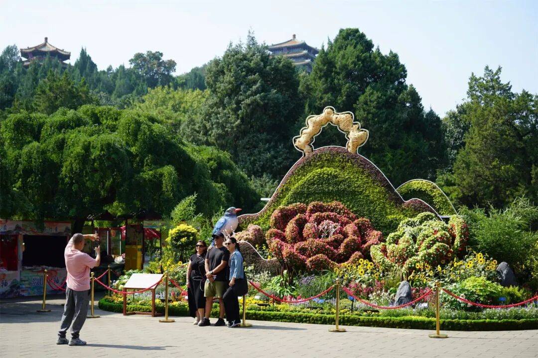 今天限行尾号有变！北京即将大风降温！过去三天，北京超128万人次都在做这件事！ | 朝闻北京